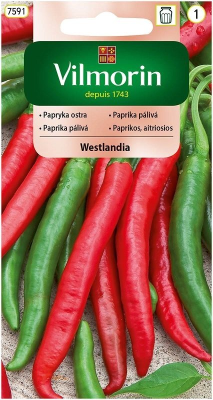 Papryka Westlandia 0,5 g Vilmorin ostra