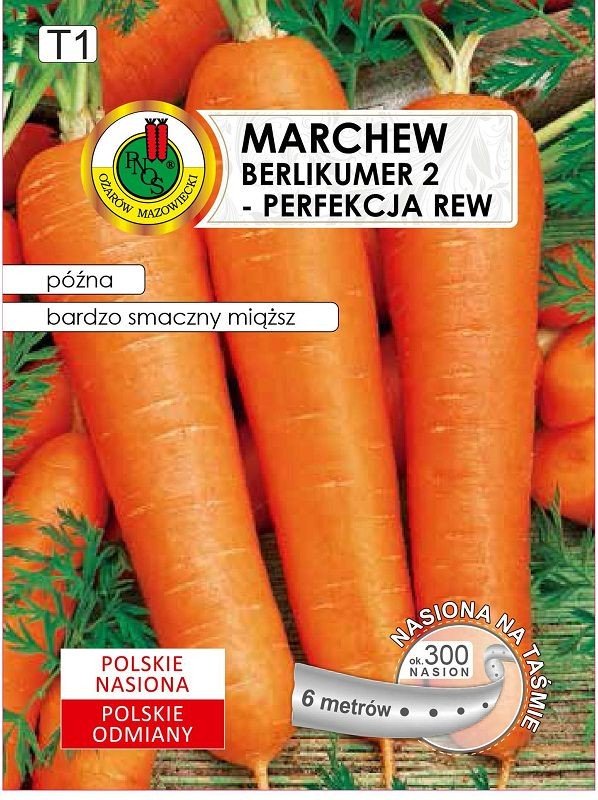 Marchew na taśmie Berlikumer 2 Perfekcja taśma 6 m PNOS Ożarów