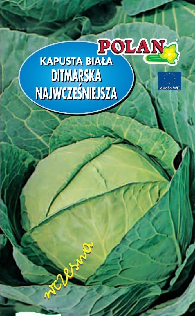 Kapusta głowiasta biała Ditmarska Najwcześniejsza 2 g POLAN
