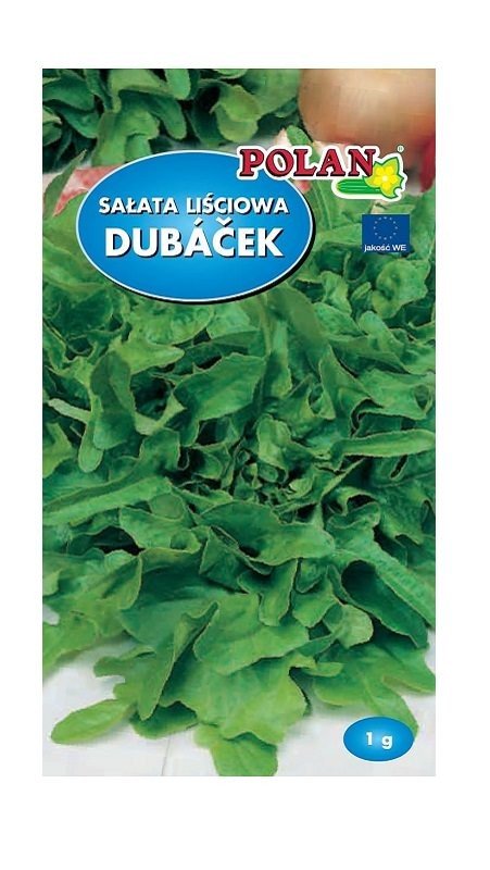 Sałata dębolistna Dubacek 1 g POLAN