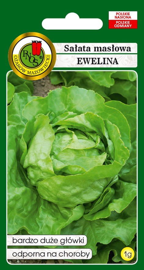 Sałata masłowa Ewelina 1 g PNOS