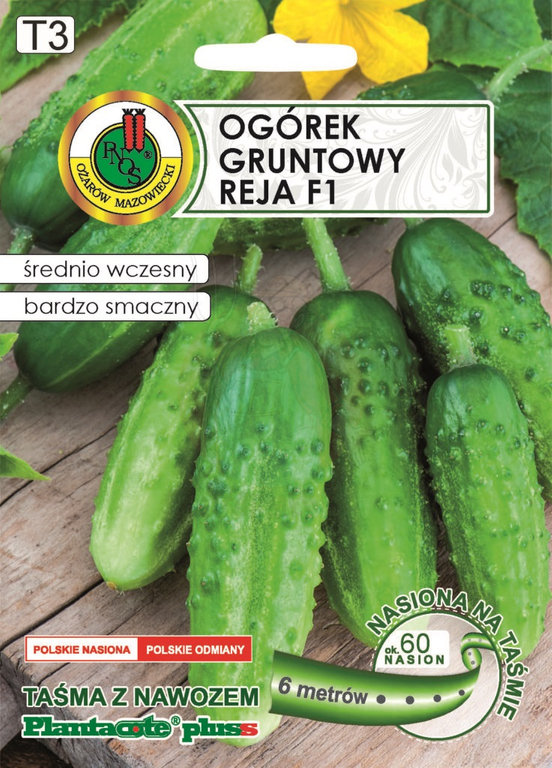 Mieszaniec F1. Odmiana średnio wczesna. Bardzo plenna. Tworzy owoce kształtne, cylindryczne o wspaniałych walorach smakowych.