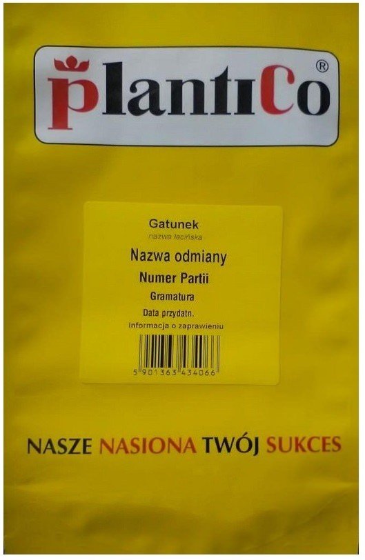 Ogórek gruntowy Starter F1 250 g Plantico POLAN