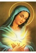 Diamentowa mozaika Matka boska z gołąbkiem NO-1007127