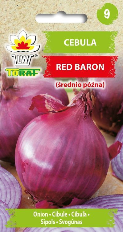 Cebula RED BARON (śr. wczesna, czerwona) NEW Allium cepa L.