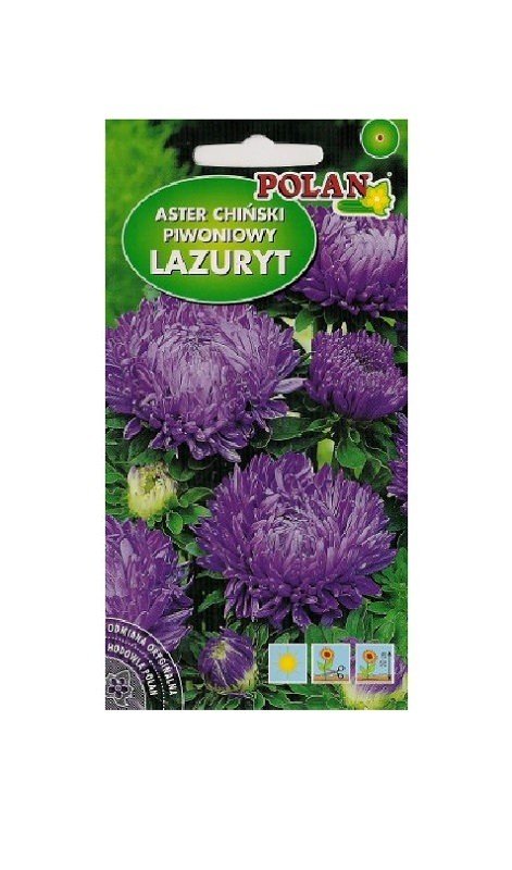 Aster piwoniowy Lazuryt fiołkowy 1 g POLAN