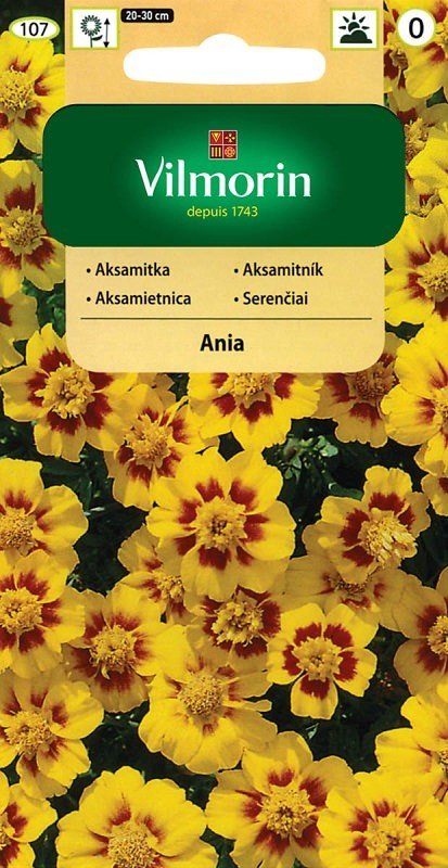 Aksamitka rozpierzchła pojedyncza Ania 1 g Vilmorin