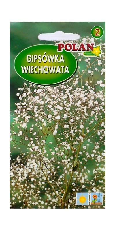 Gipsówka wiechowata - łyszczec 1 g POLAN