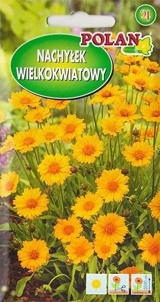 Nachyłek trwały Sunburs 1 g POLAN