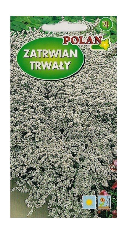 Zatrwian trwały Tataricum Biały 0,3 g POLAN