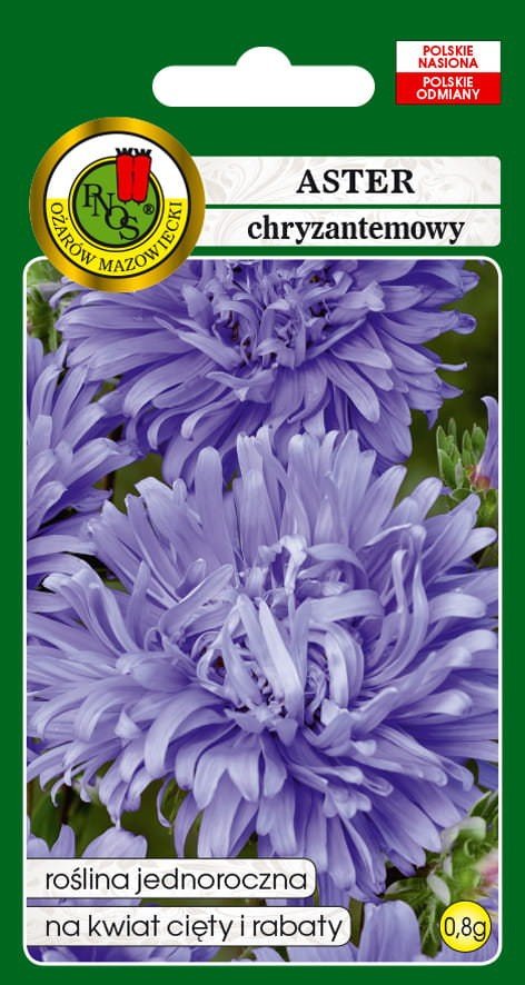 Aster chryzantemowy niebieski 0,8 g PNOS