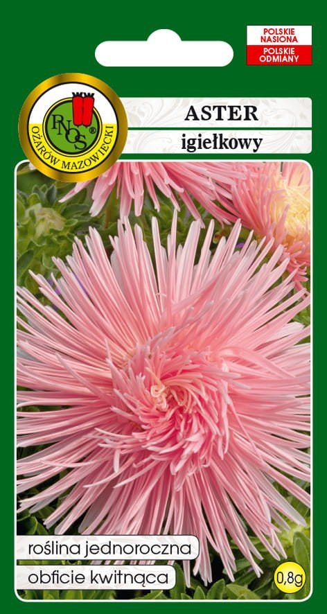 Aster igiełkowy różowy 0,8 g PNOS