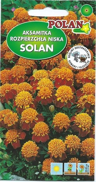 Aksamitka niska pełna Solan 0.5 g POLAN
