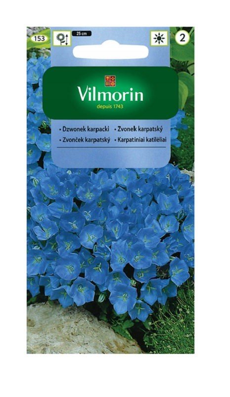 Dzwonek karpacki 0,5 g Vilmorin