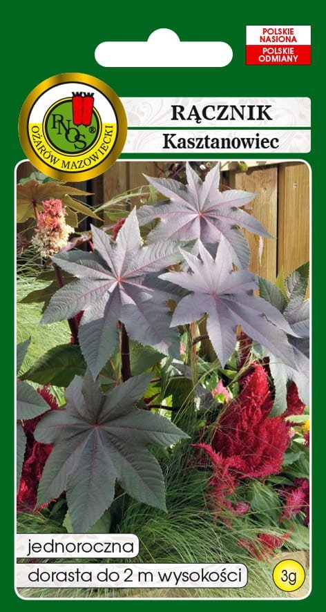 Rącznik Czerwonolistny 3 g PNOS