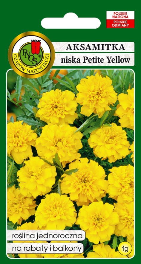 Aksamitka pełna niska Petite Yellow 1 g PNOS