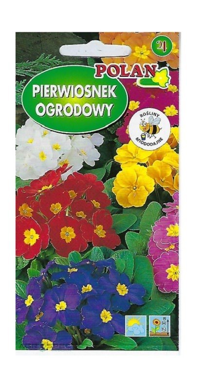 Pierwiosnek ogrodowy Elatior Gigantea 0,5 g POLAN