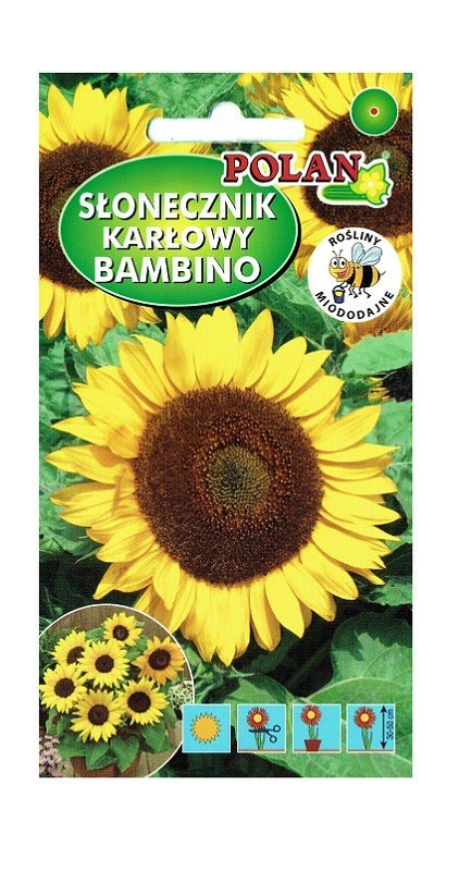 Słonecznik ozdobny Bambino 2 g POLAN