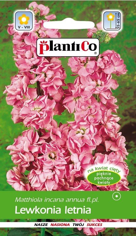 Lewkonia letnia Hasz 0.5 g Plantico