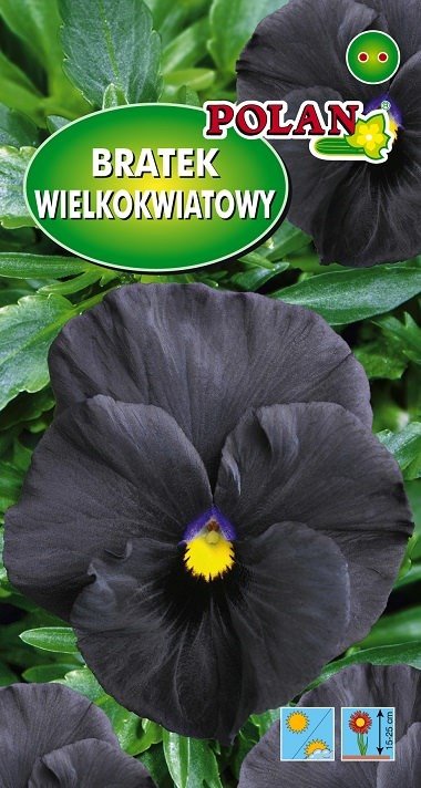 Bratek Wielkwiatowy Czarny 0.4 g POLAN
