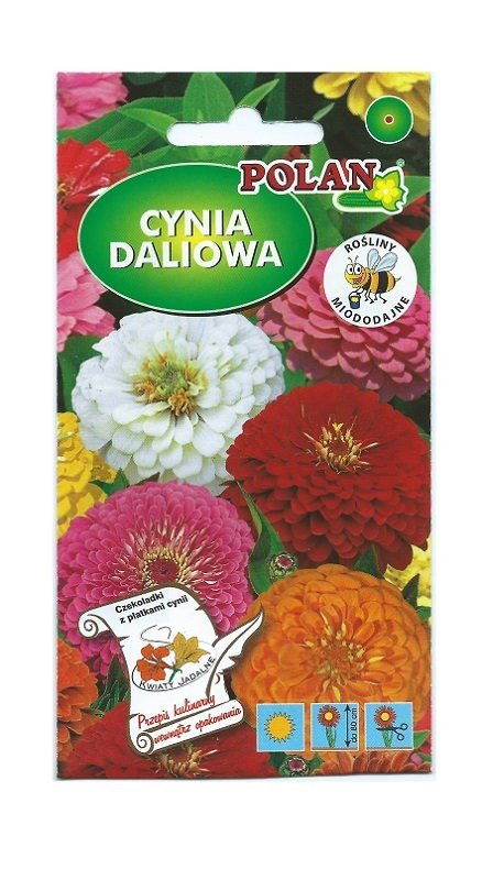 Cynia daliowa zestaw kolorów 1 g POLAN