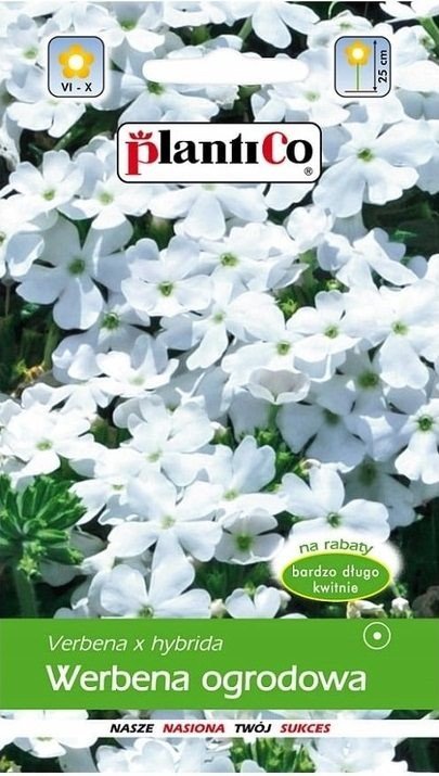 Werbena ogrodowa biała 0,5 g Plantico