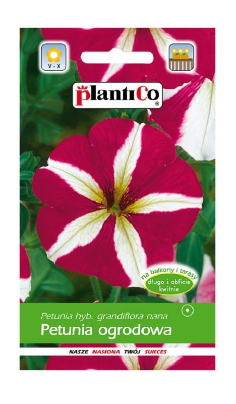 Petunia ogrodowa biało-czerwona 0,05 g Plantico