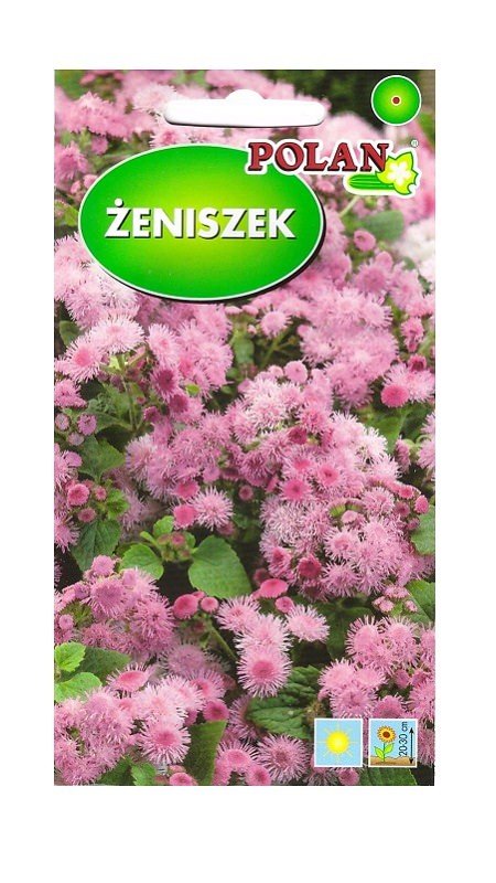Żeniszek różowy 0.3 g POLAN