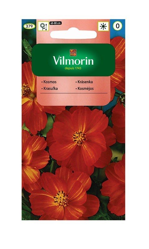 Kosmos Diablo 1 g Vilmorin