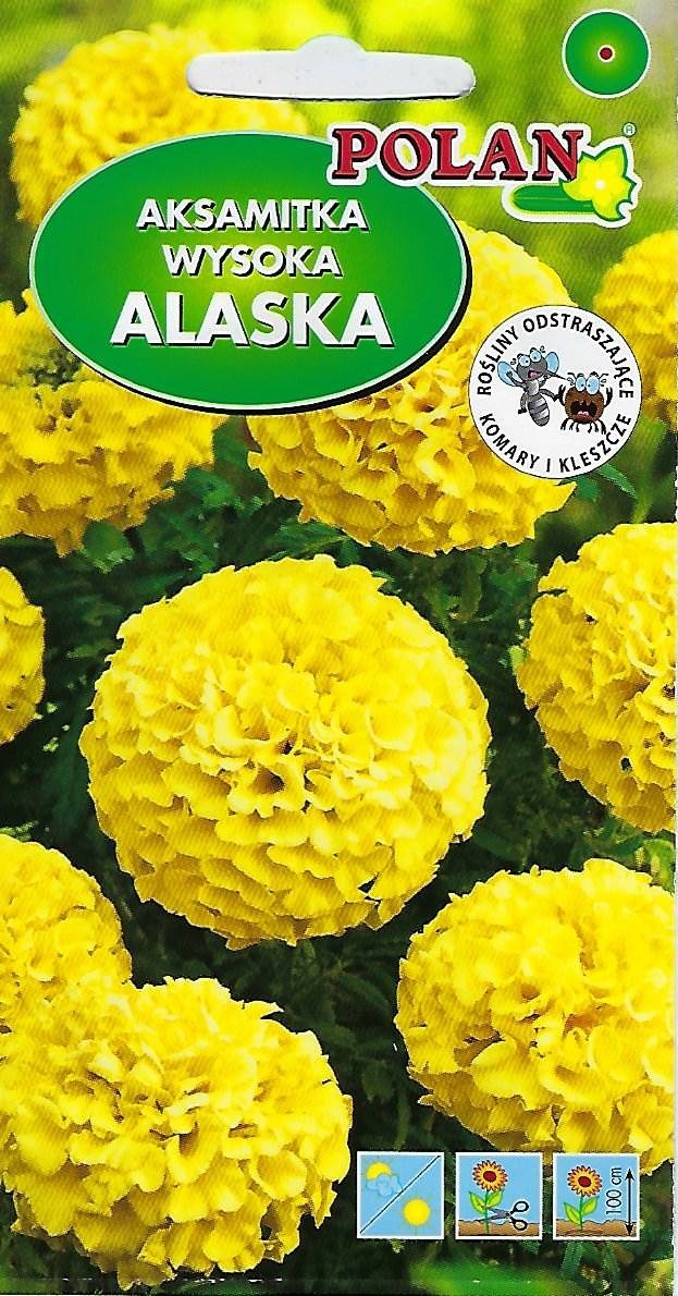 Aksamitka wysoka pełna Alaska Cytrynowa 2 g POLAN