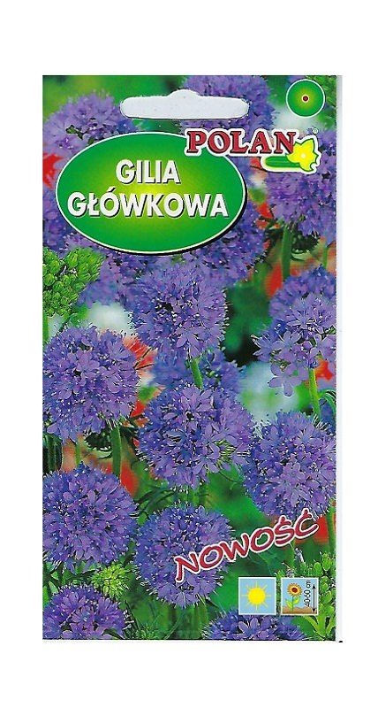 Gilia główkowa fioletowo-niebieska 0,5 g POLAN