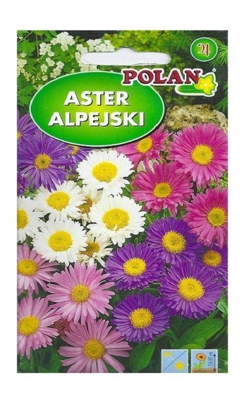 Aster alpejski mieszany 0,5 g POLAN