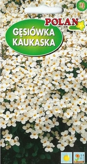 Gęsiówka kaukaska biała 0.5 g POLAN