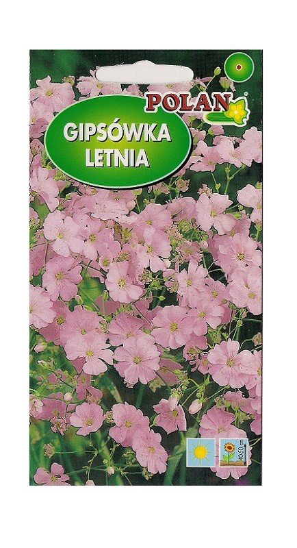 Gipsówka wytworna różowa 2 g POLAN