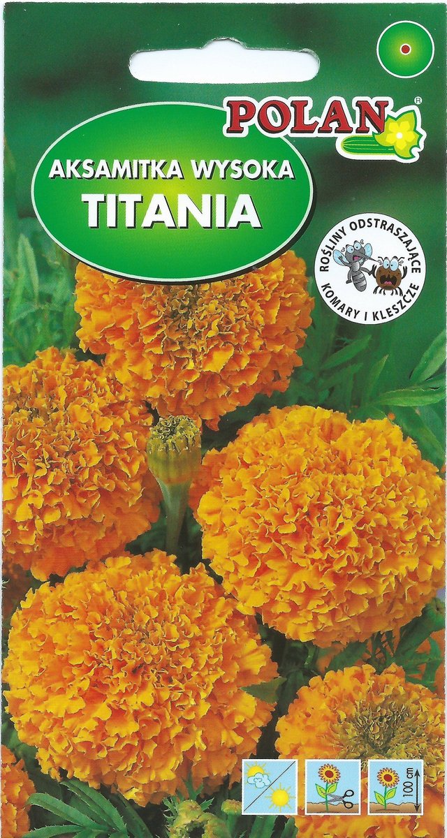 Aksamitka wysoka pełna Titania 2 g POLAN