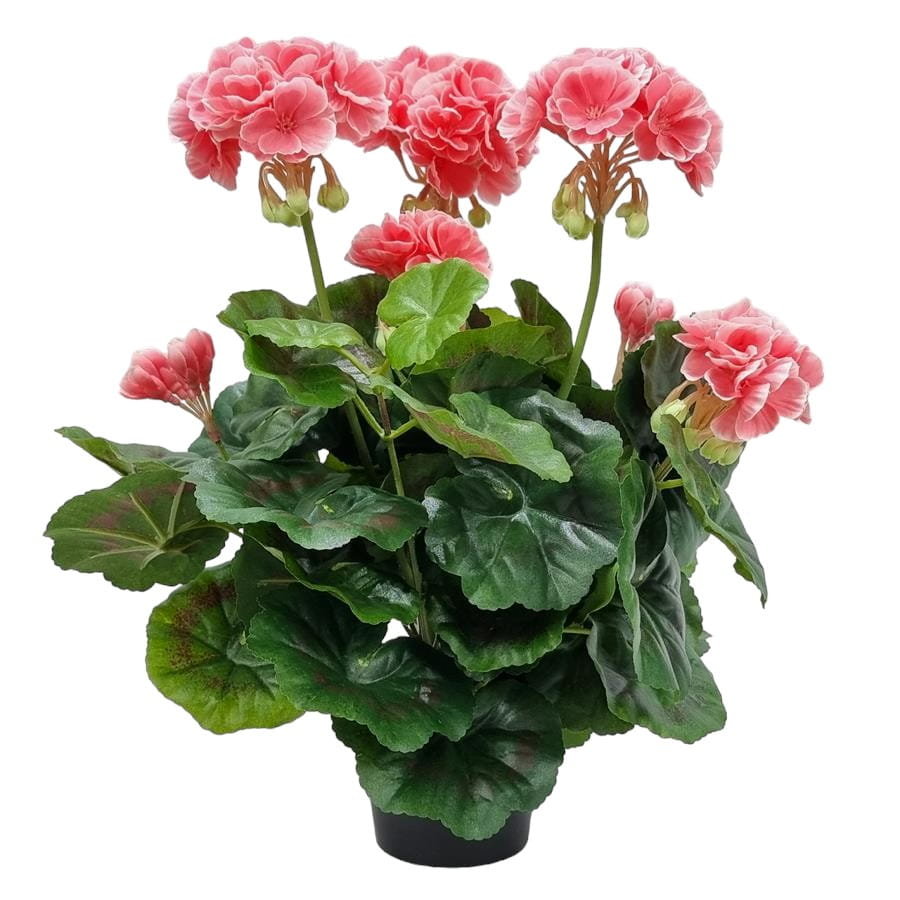 PELARGONIA SZTUCZNA W DONICZCE (613.24) KORAL-RÓŻ sztuczne kwiaty na balkon na taras