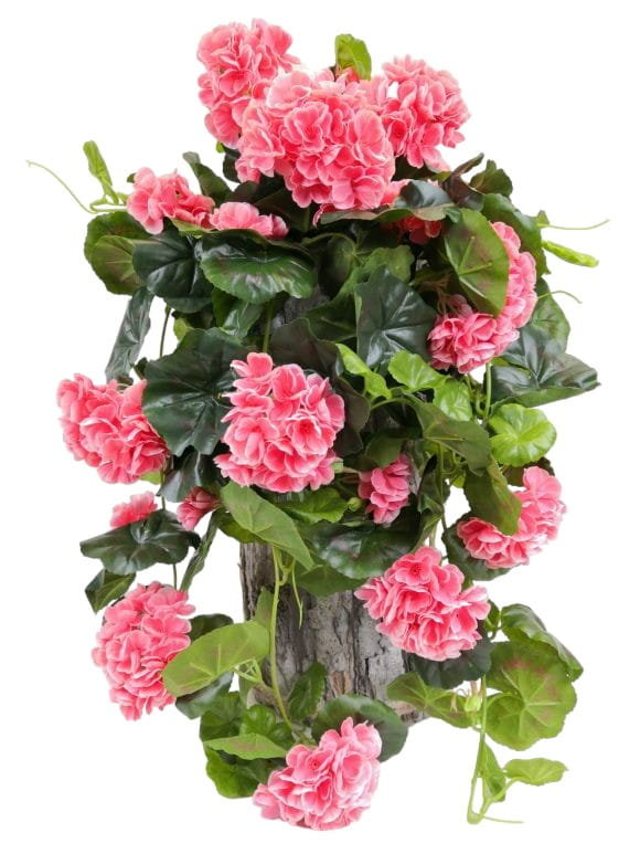 PELARGONIA ZWISAJĄCA W DONICZCE koral-róż (2691.24) sztuczna pelargonia