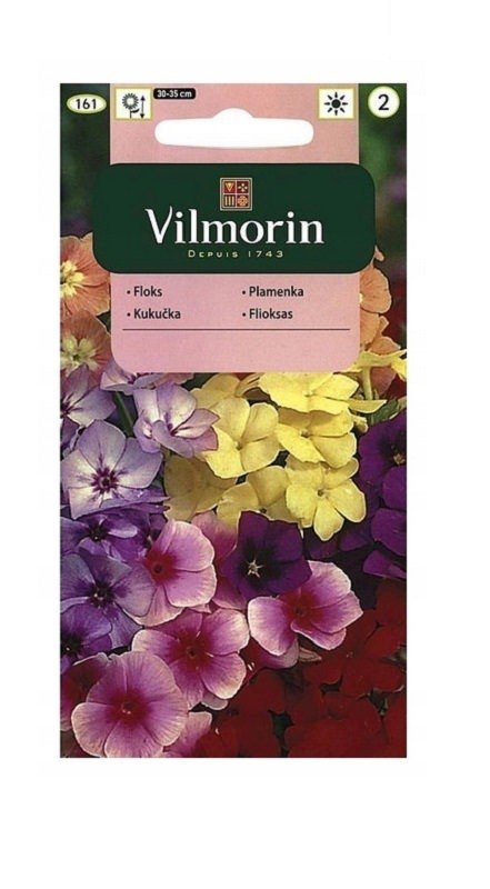 Floks wielkokwiatowy mix 1 g Vilmorin
