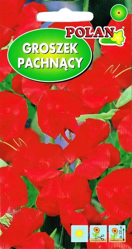 Groszek pachnący Cuthberstson czerwony 3 g POLAN