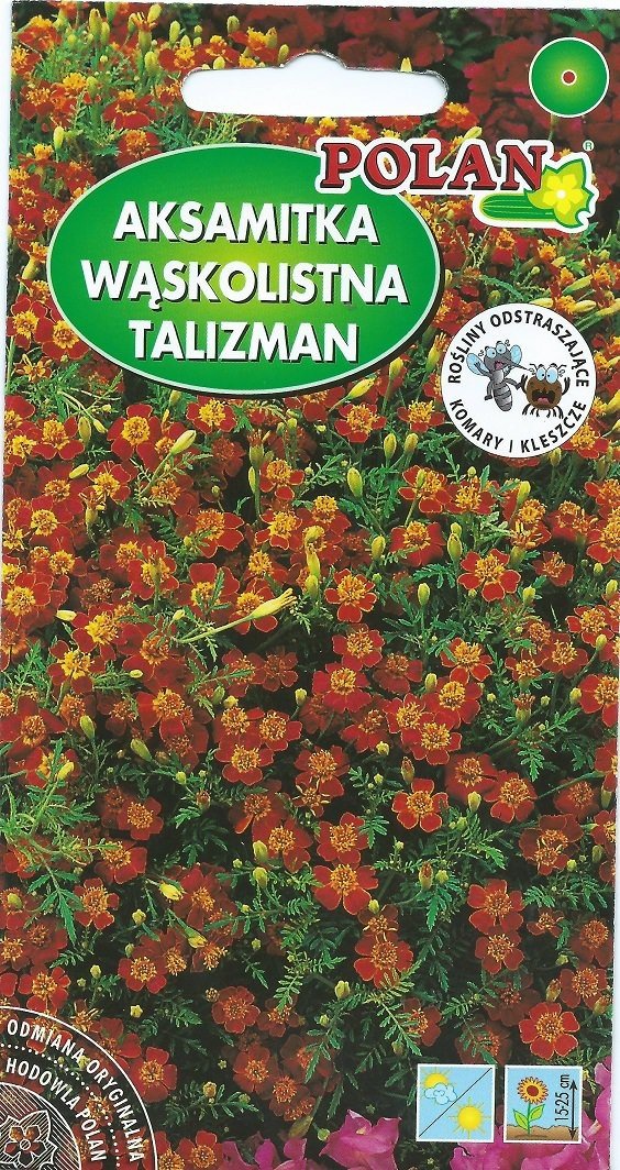 Aksamitka wąskolistna mahoniowa Talizman 0.5 g POLAN