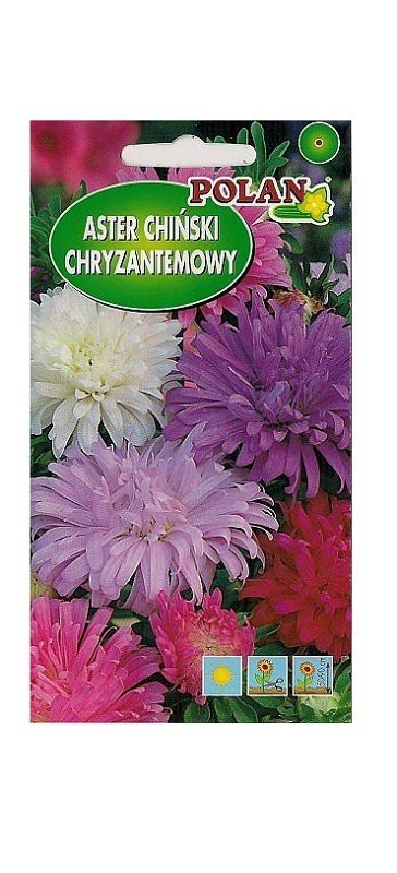 Aster chryzantemowy zestaw kolorów 1 g POLAN