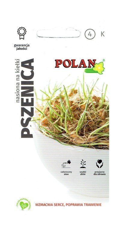 Nasiona na kiełki Pszenica 25 g POLAN