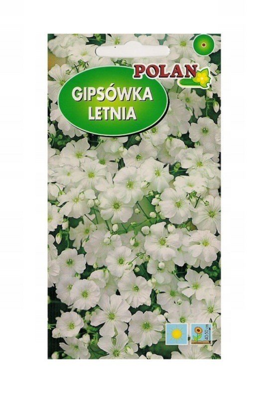 Gipsówka letnia biała 2 g POLAN