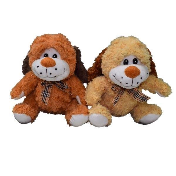 Piesek Siedzący Uśmiechnięty