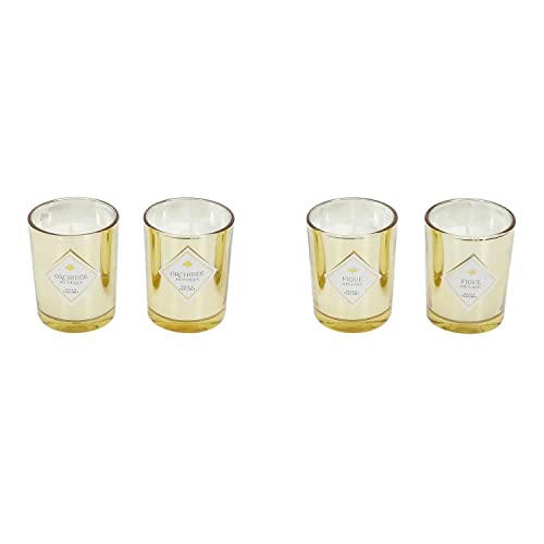 HOME DECO FACTORY - BO5530 - Elektroplate Świeca zapachowa X4 Gingko Box - Średnica : 5 cm