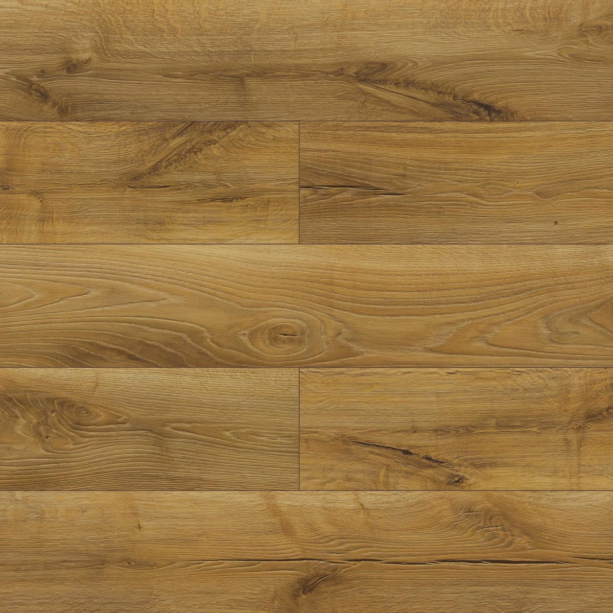 Panele podłogowe laminowane Dąb Corabia AC6 10 mm Promo Flooring 5903693126697