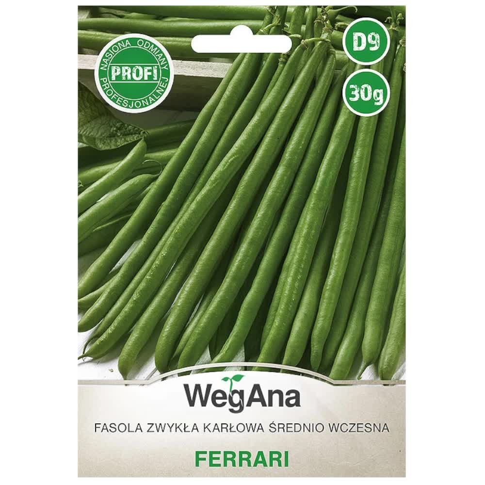 Fasola zwykła karłowa Ferrari nasiona 30g nasiona - WegAna