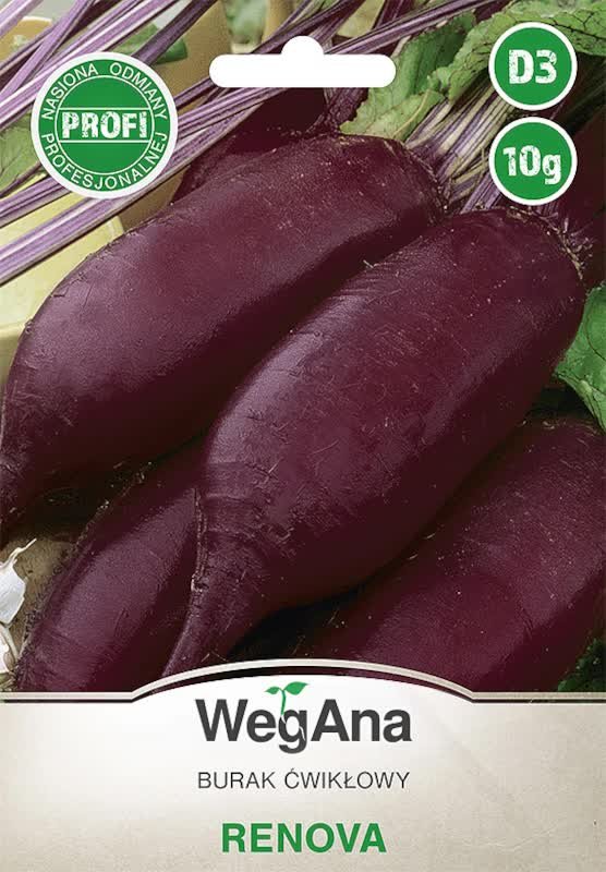 Burak cwiklowy Renova 10g nasiona - WegAna