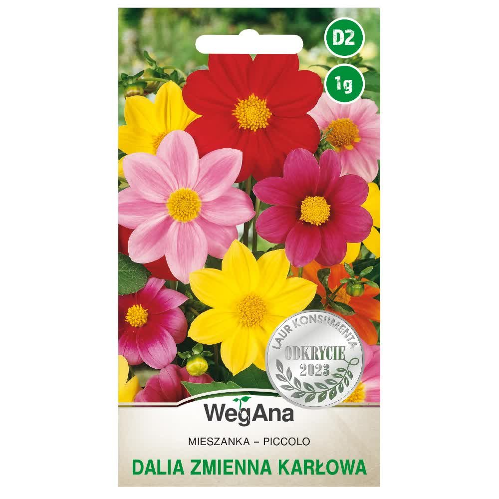 Dalia zmienna karłowa Piccolo mieszanka nasiona 1g - WegAna