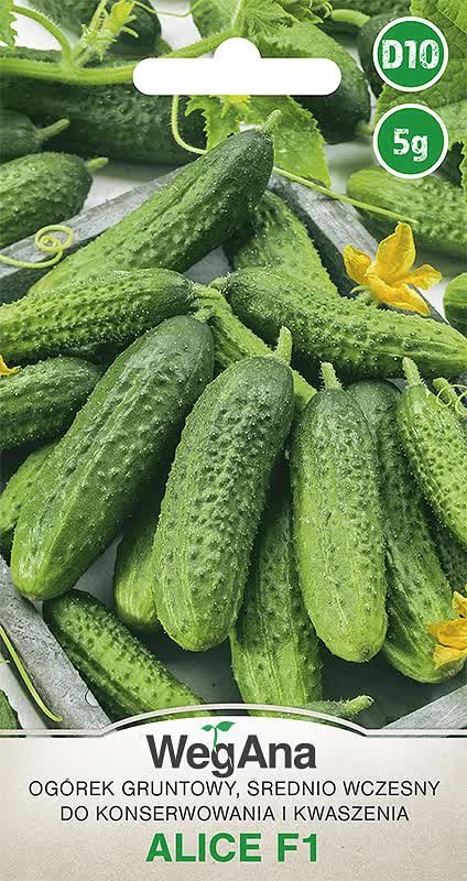 Ogórek konserwowy gruntowy Alice F1 5g nasiona - WegAna